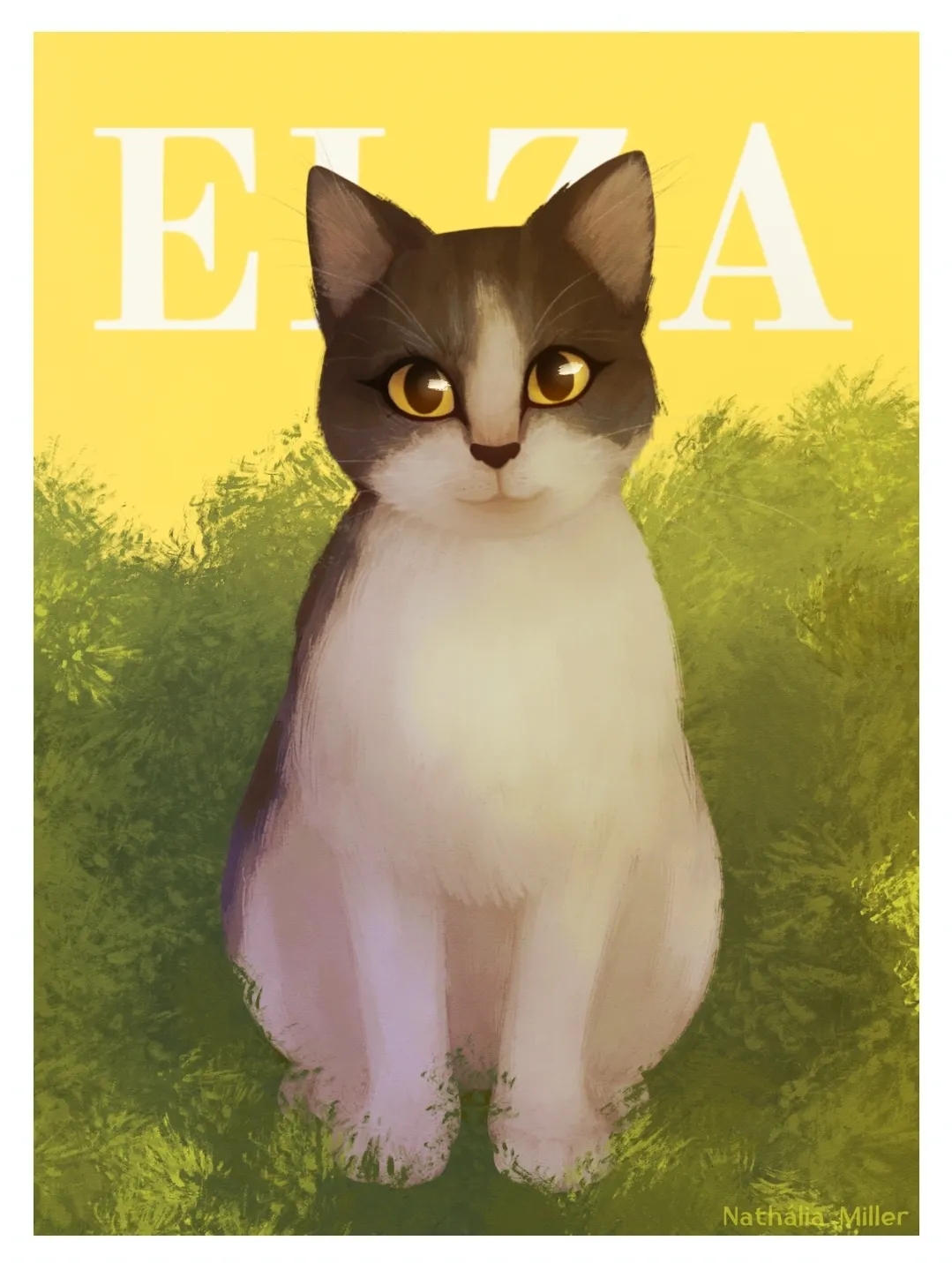 Deixar aqui meu portfólio 