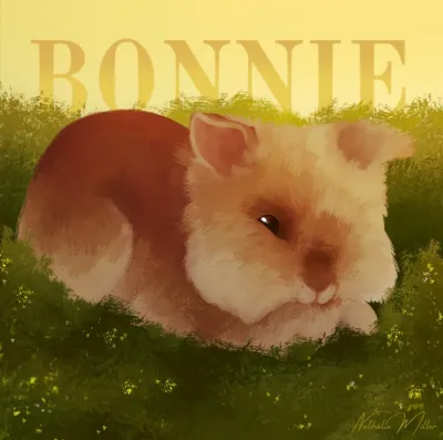 Deixar aqui meu portfólio 