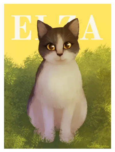 Deixar aqui meu portfólio 